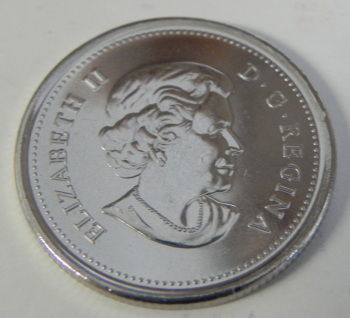 2011-Wood-Bison-Coloured-Quarter