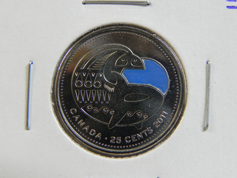 2011-Wood-Bison-Coloured-Quarter