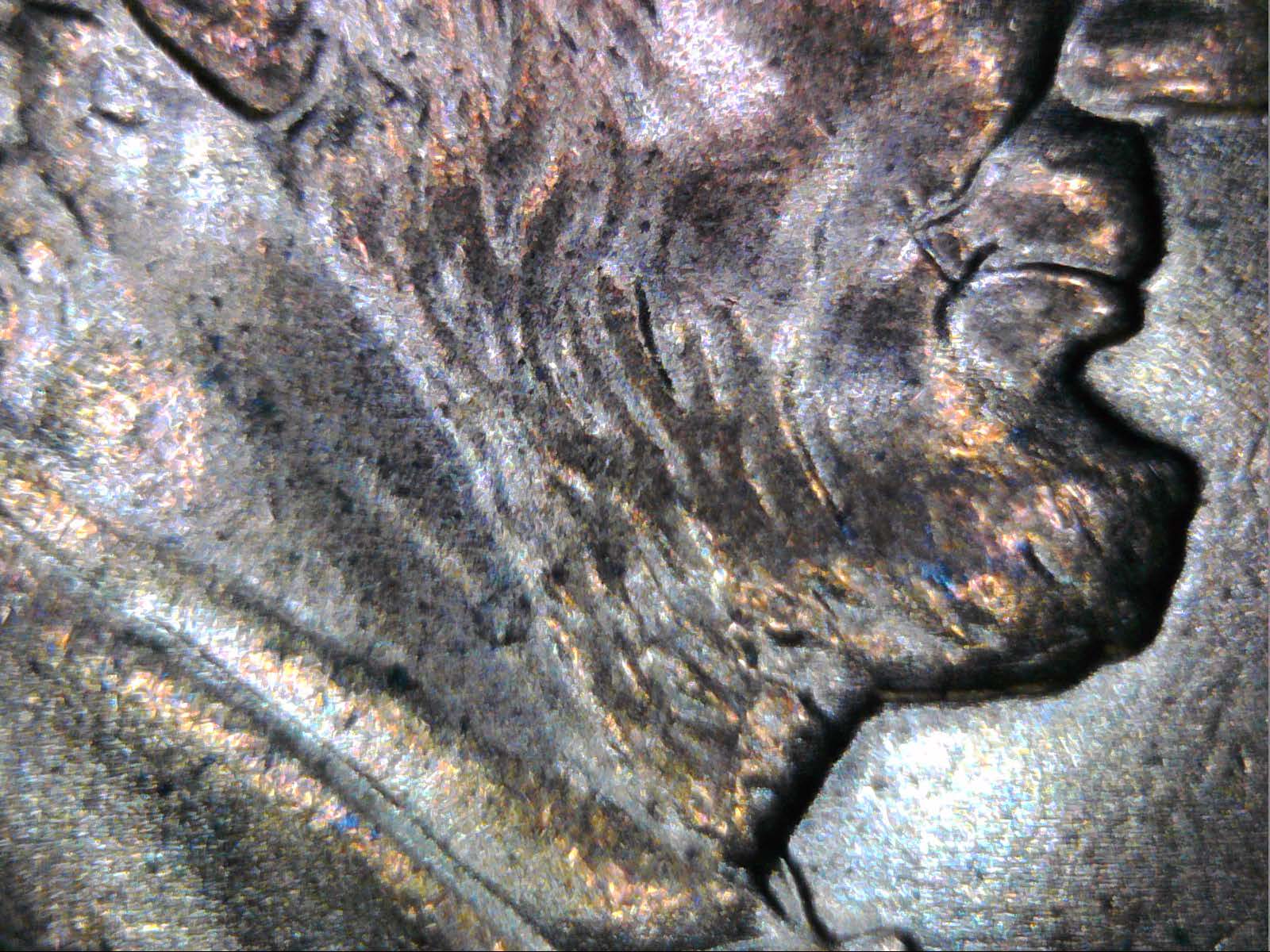 2009-Lincoln-Bicentennial-Cent-Fy-DDR-052,-52-R-VIII-&-DDO-004,-4-O-Vi