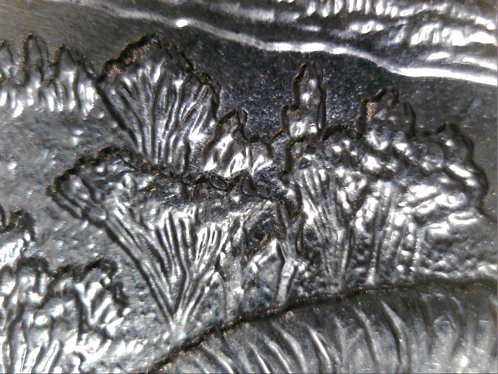 2016-P-Quarter-Theodore-Roosevelt-WDDR-001