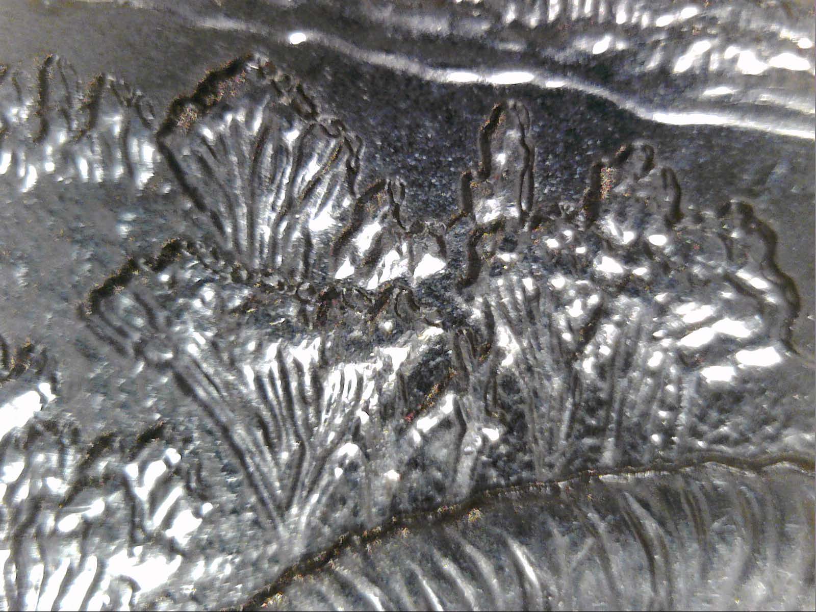 2016-P-Quarter-Theodore-Roosevelt-WDDR-001