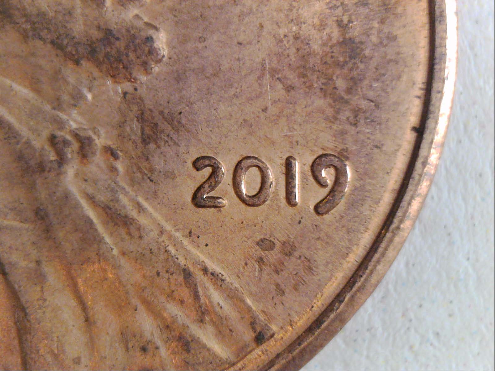 2019-LSC-Looks-Like-1-DO-002