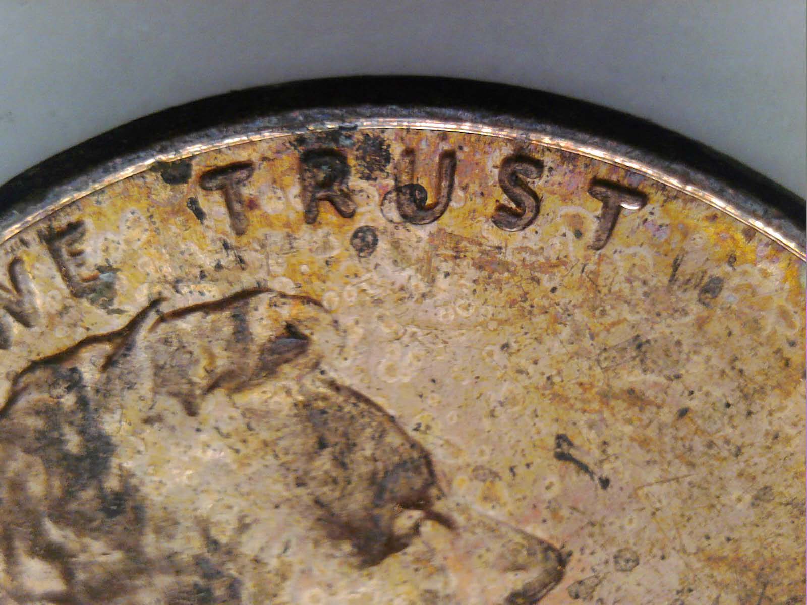 2017-P-LSC-WDDO-017?