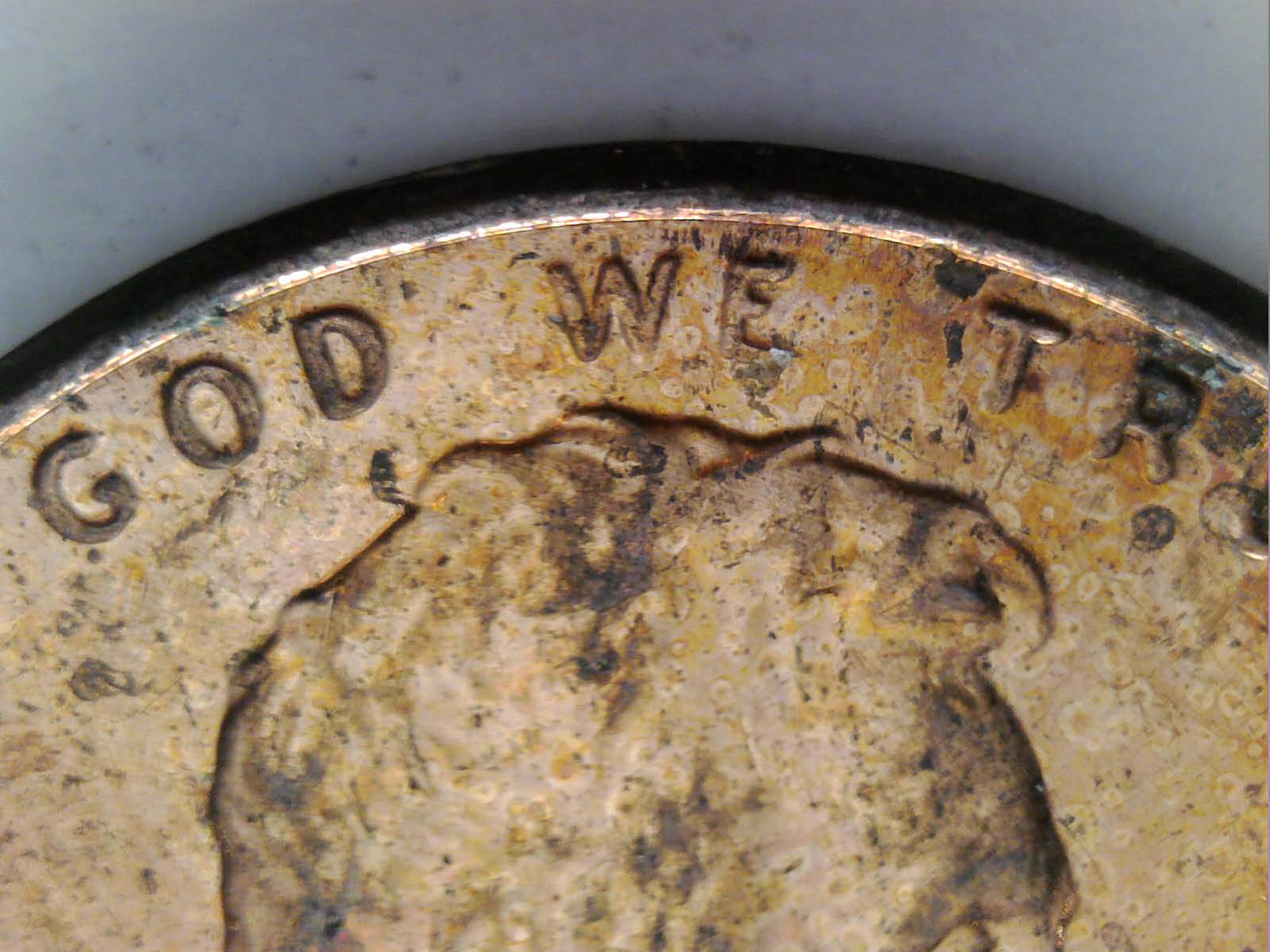 2017-P-LSC-WDDO-017?