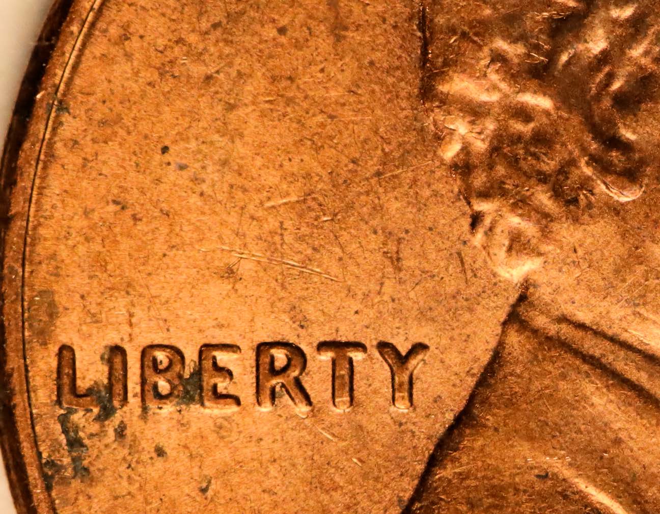 2016-LSC-Doubled-Ear-And-Liberty?