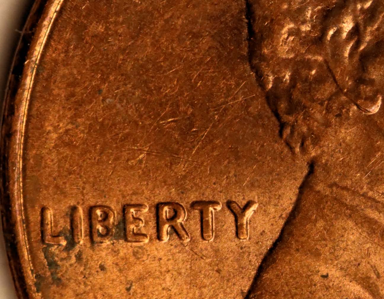 2016-LSC-Doubled-Ear-And-Liberty?