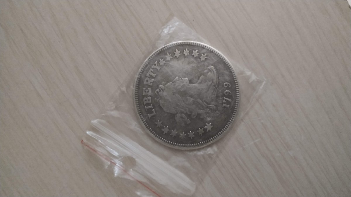 1799-Bust-Dollar-Fake?