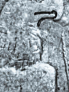 1922-D-Peace-Dollar-Double-Strike?