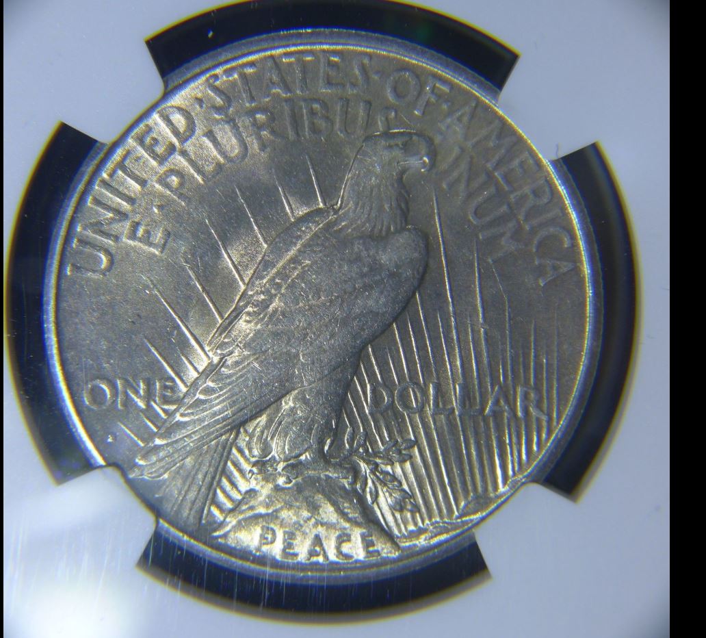 1934-S-Peace---Accurately-Graded-And-Opinion?