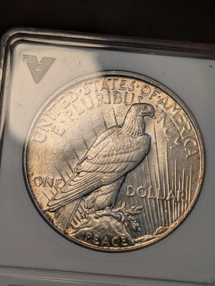 What-Am-I-Missing?-1934-Peace-Dollar-MS-60.