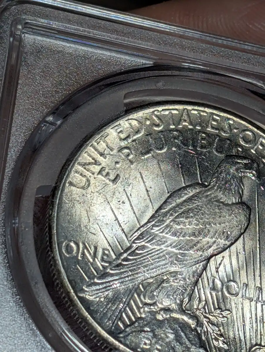 How-Did-This-1928-Peace-Dollar-Straight-Grade?