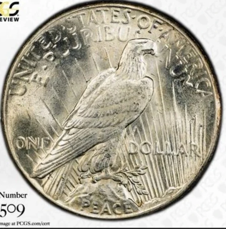 How-Did-This-1928-Peace-Dollar-Straight-Grade?