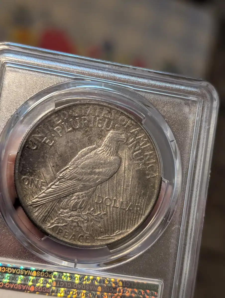 You-Vs-PCGS---1921-Gunmetal-Black-Toned-Peace-Dollar