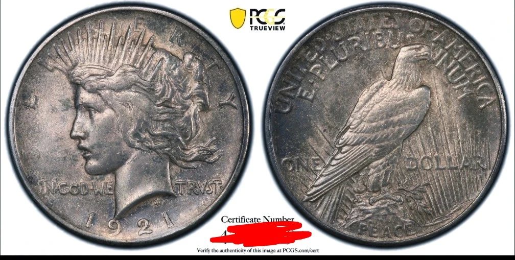 You-Vs-PCGS---1921-Gunmetal-Black-Toned-Peace-Dollar
