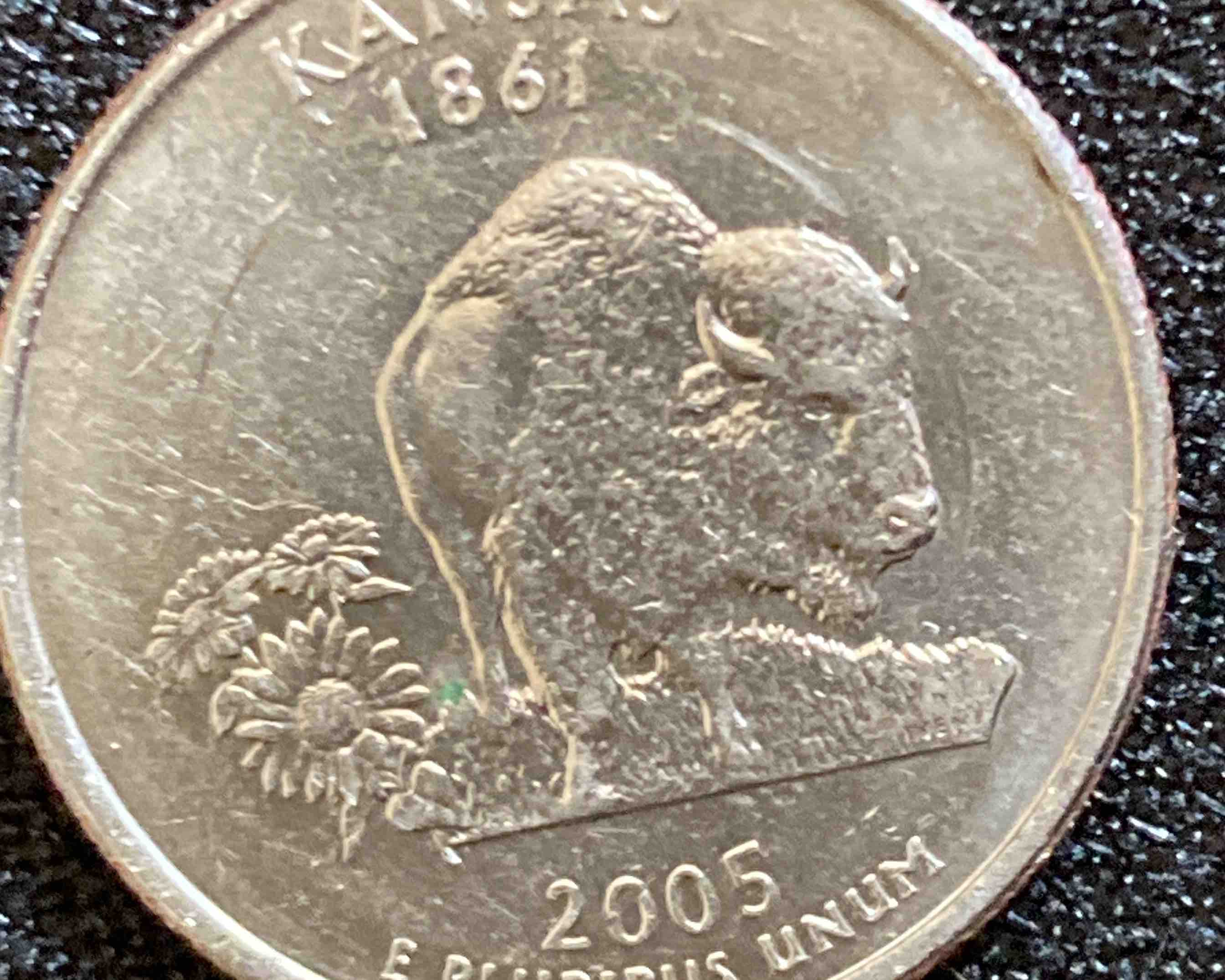Double-Horn-2005-State-Kansas-Quarter