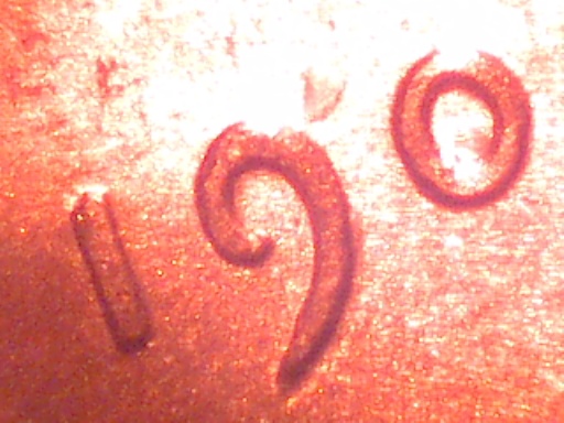 1909-V.d.b-DDO?