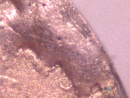 Error-Or-Damage?--1873-2