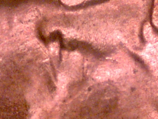 55-S-Wheat-Cent,-Eye-Lid-Doubling?