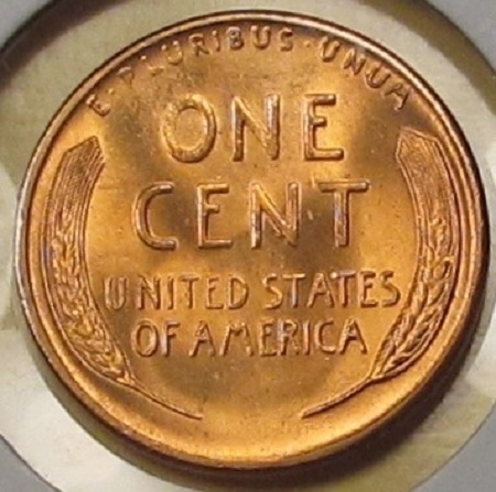 Can-I-Get-Some-Help-With-These-5-1955-S-LWC