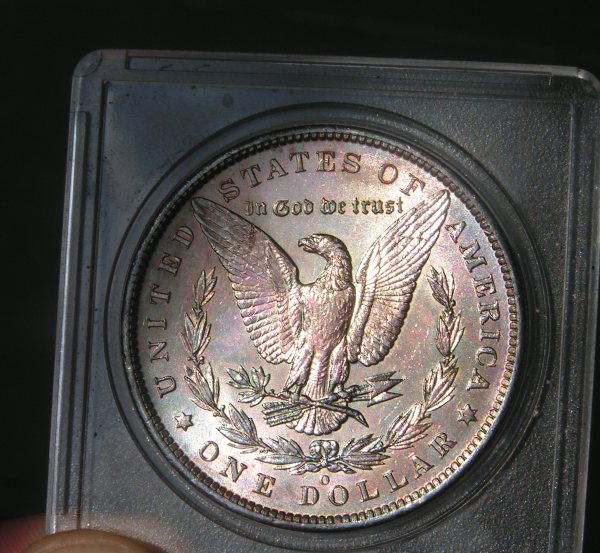 Your-Opinions-On-This-Toned-Morgan?