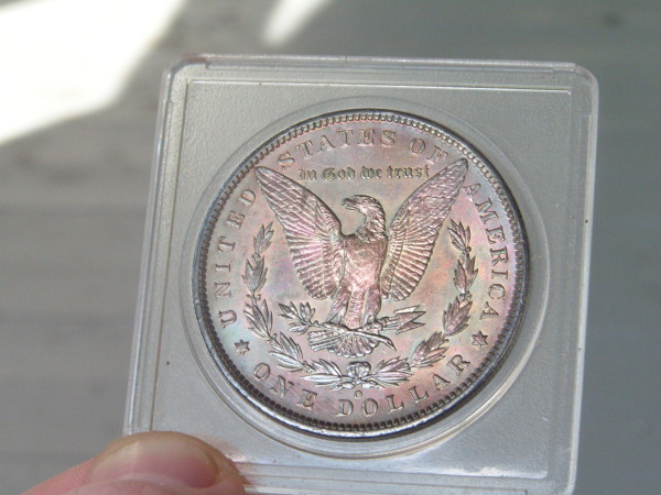Your-Opinions-On-This-Toned-Morgan?