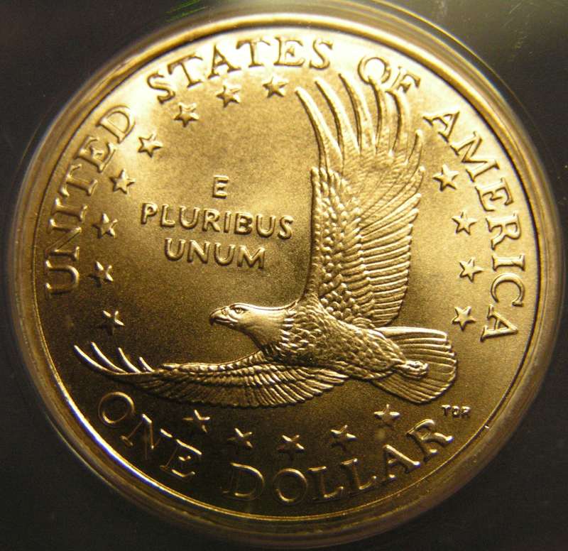 2008-D-Sacagawea-Satin-Finish