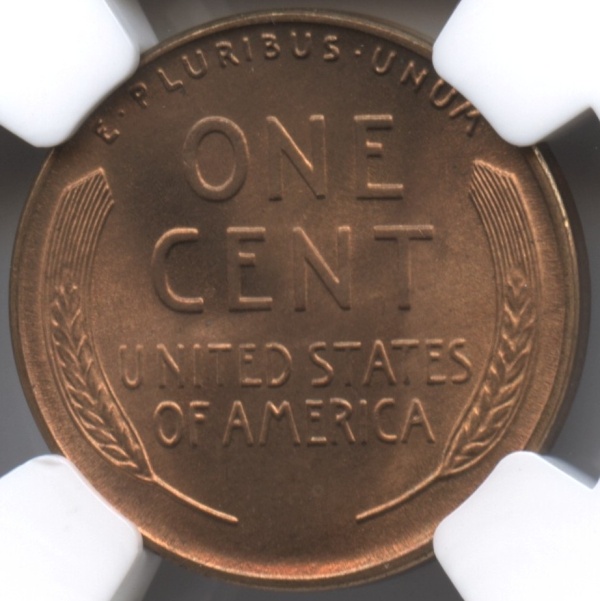You-Vs-NGC-1945-D-LWC