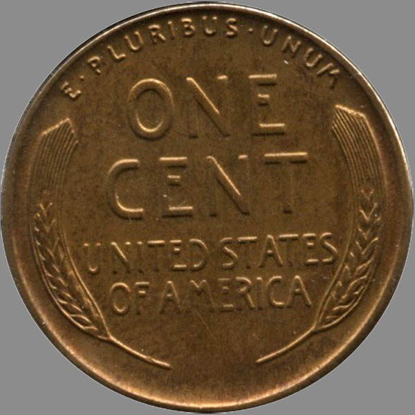 29-D-&-31-D-Wheats.