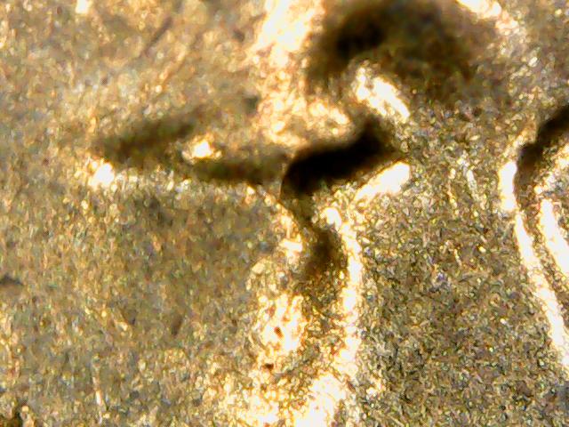 1958-LWC-With-Chip-On-Lincoln's-Eye?-Or-Post-Mint-Hit?-And-DDO-Illusion?