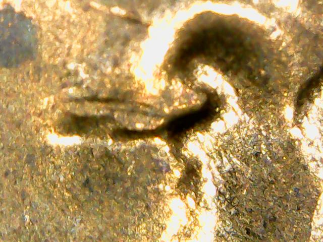 1958-LWC-With-Chip-On-Lincoln's-Eye?-Or-Post-Mint-Hit?-And-DDO-Illusion?