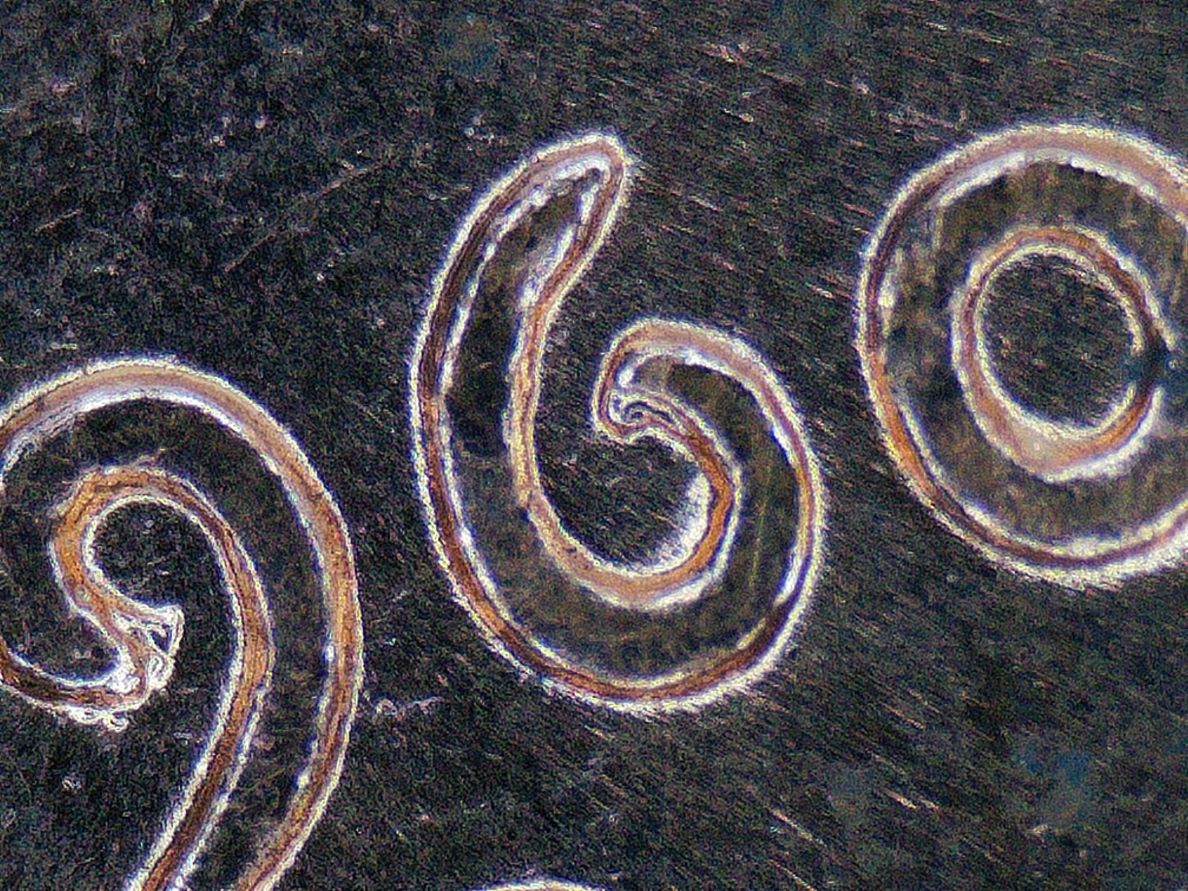 1960-D-Lincoln-Cent-I-Am-Leaning-Towards-MD.-What-Do-You-Guys-Think?