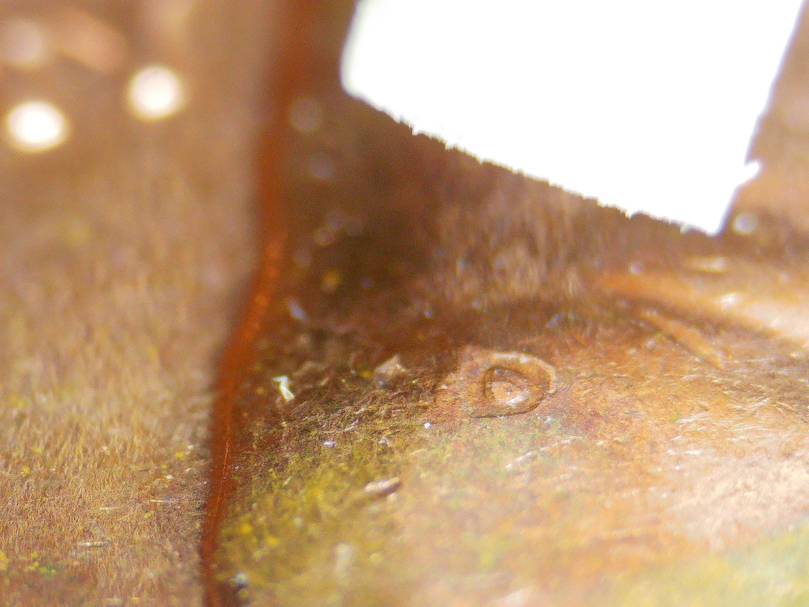 1963-D-Lincoln-Memorial-Penny-Struck-