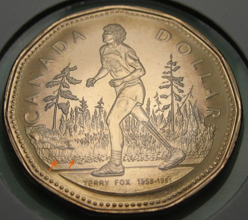 Terry-Fox--Missing-Grass