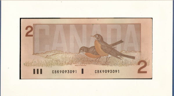 $2-Replacement-Note