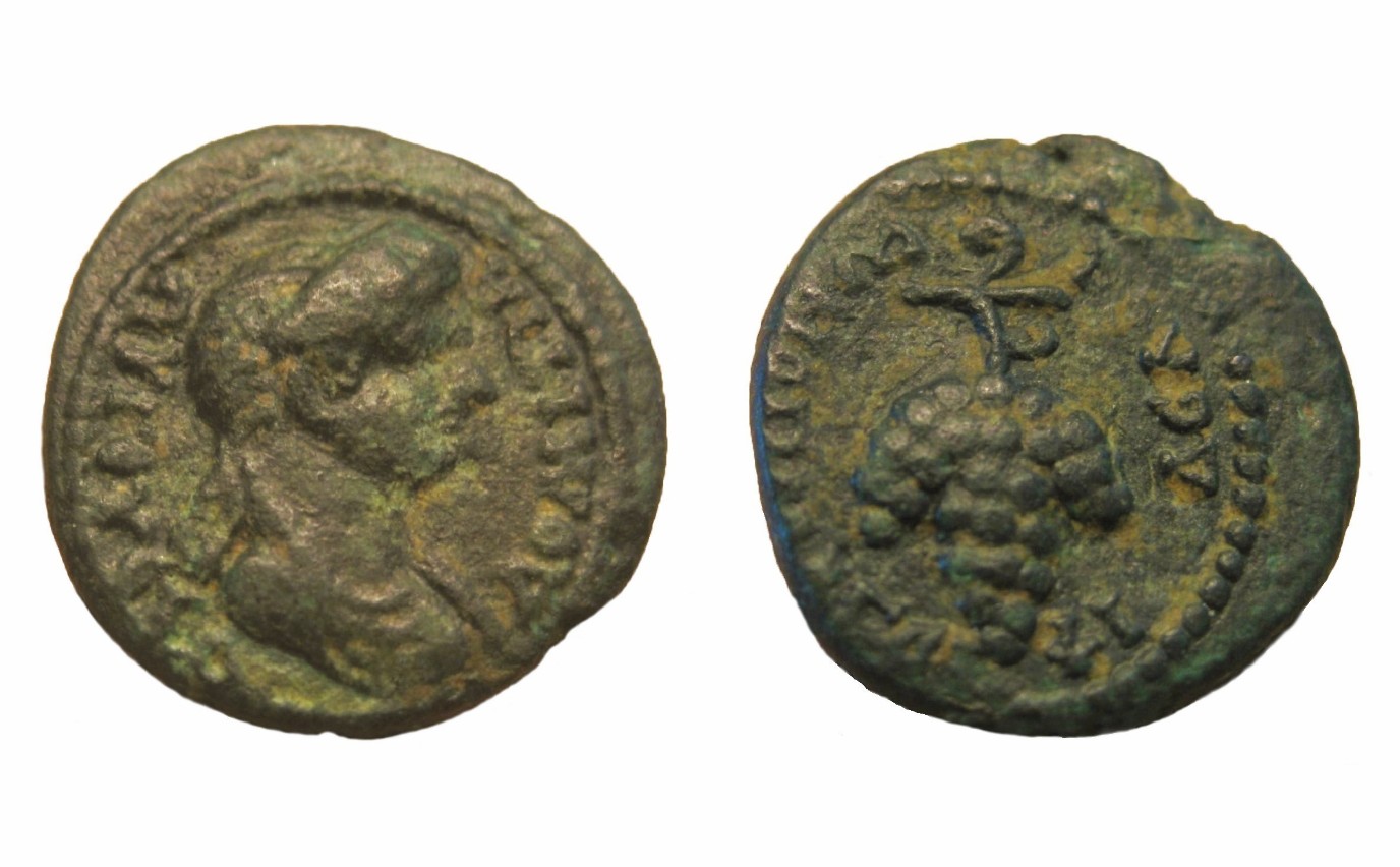 Domitia-Provincial-Addition.