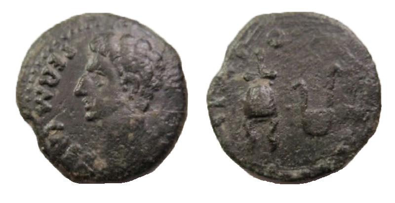 Video:-Roman-Provincial-Coinages-Of-Hispania---Bronze-Coins-For-The-Daily-Life
