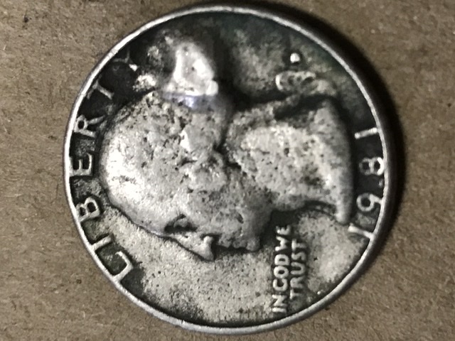 Is-This-A-True-Error-?-1981-D-Quarter