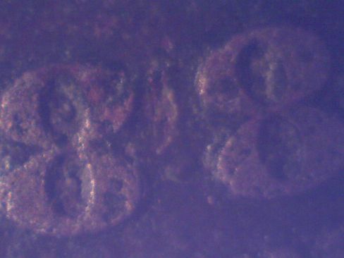 1888/7-Or-1888/87?