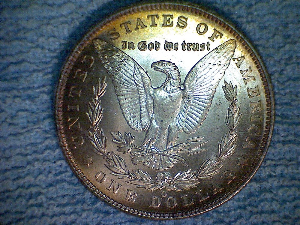 Need-Advice-For-My-Morgan-Dollar-