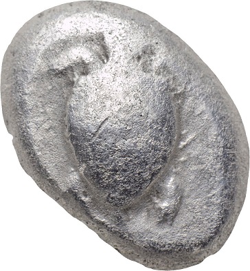 Aegina-Attica-Turtle-Staters