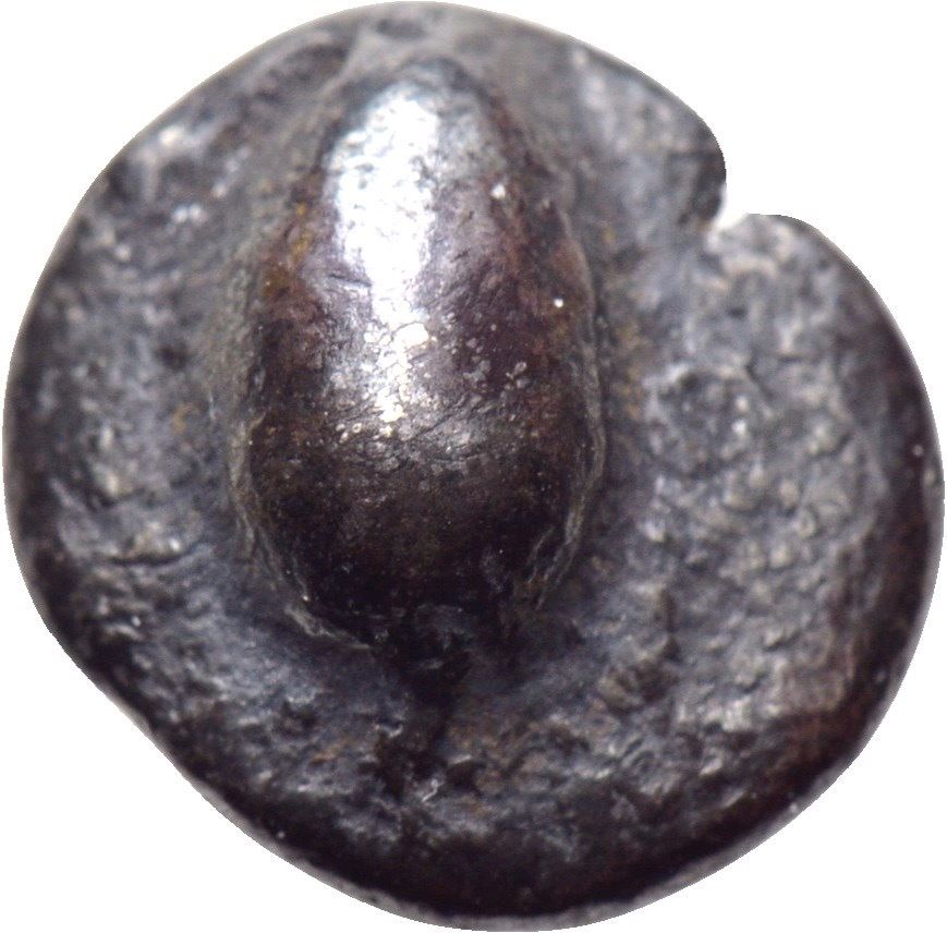 Aegina-Attica-Turtle-Staters