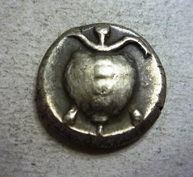 Aegina-Attica-Turtle-Staters