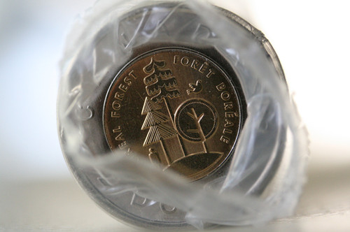 Is-This-A-Mule---2011-Boreal-Forest-Toonies-Roll