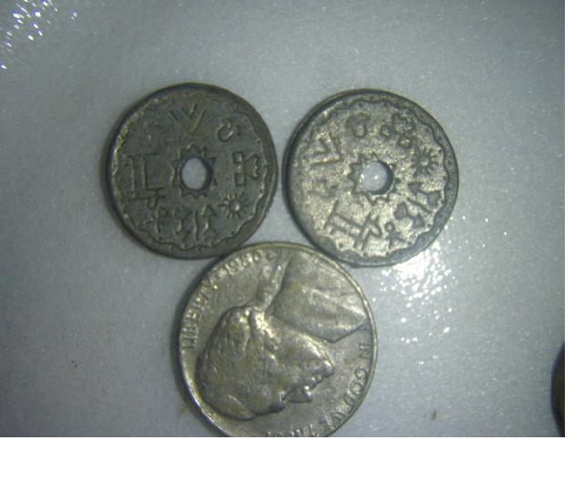 Native-Symbol-Token-ID