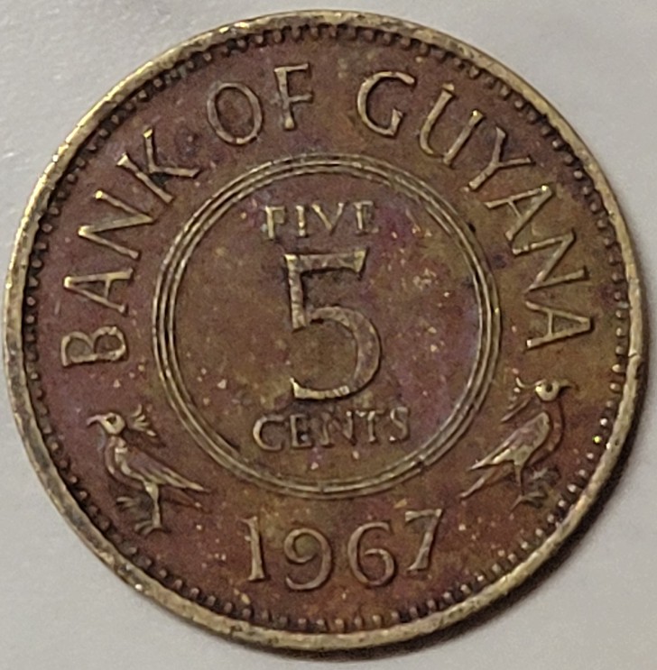 Post-Your-Bird-Coins