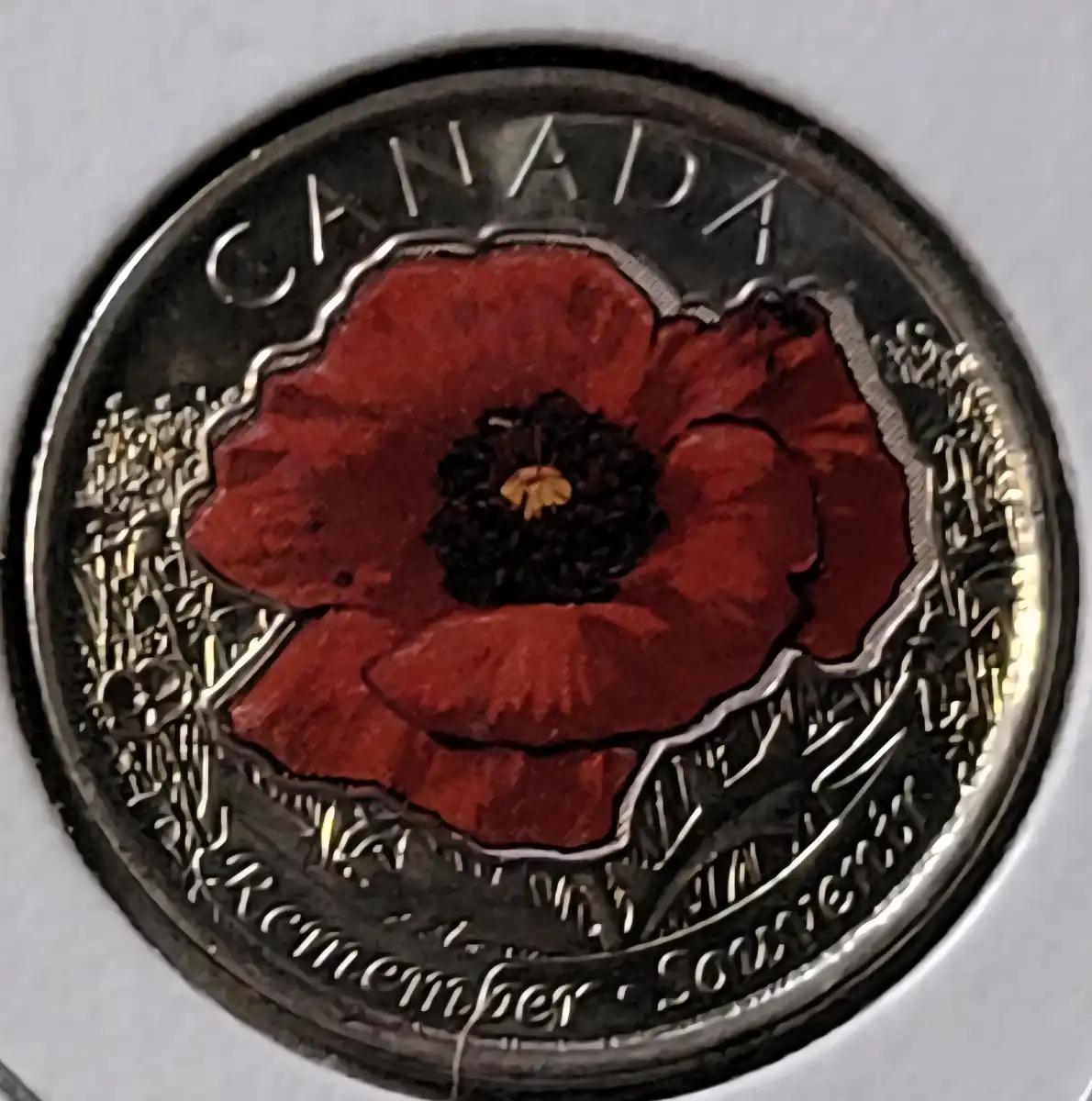 Post-Your-Coins-Issued-By-The-Mint-As-Colourised-Coins.
