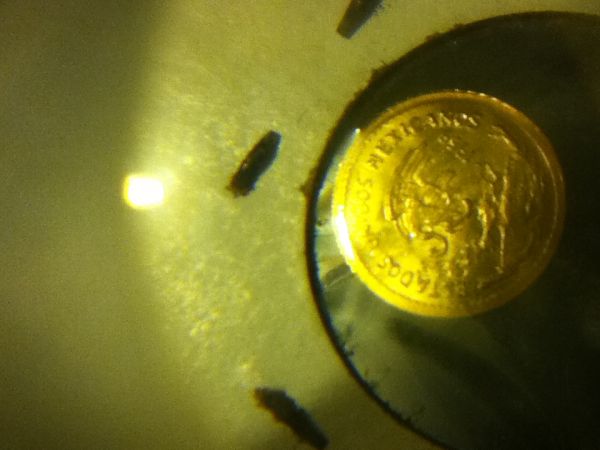 Post-Your-Mexican-Coins-And-Or-Paper-Money