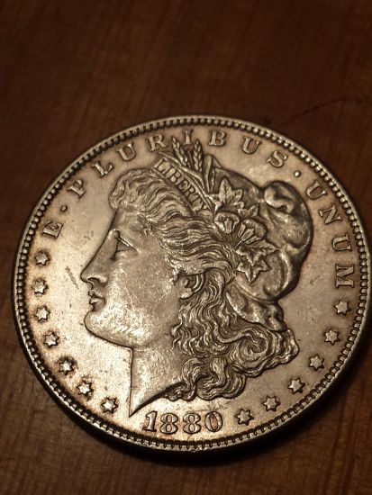 1880-Morgan-S-Dollar