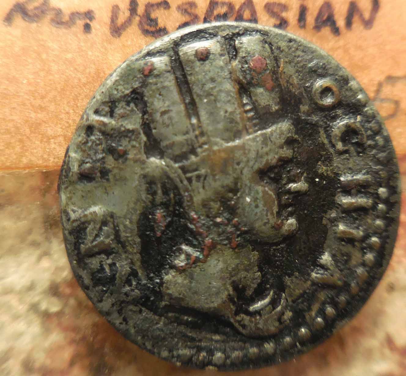 Vespasian-Observation