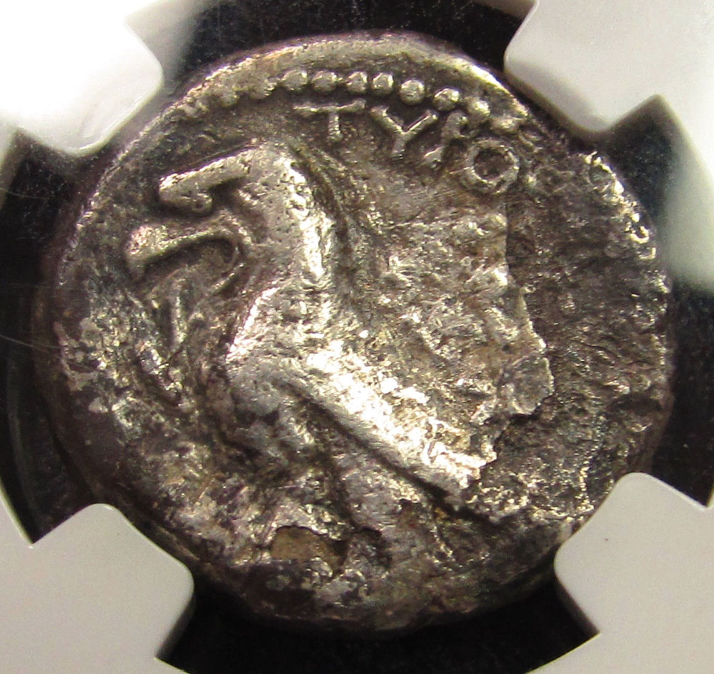 Tyre-Sheckel---Authentic-Or-Fake?-What's-The-Date?
